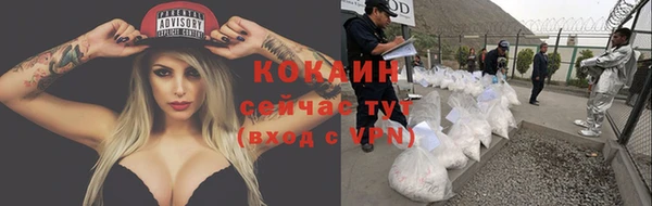 прущие грибы Абдулино