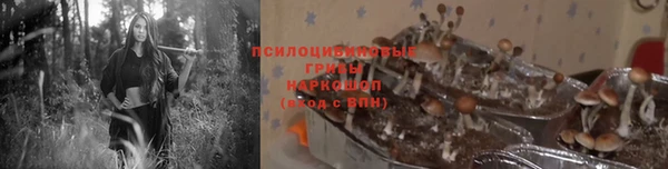 прущий лед Пролетарск