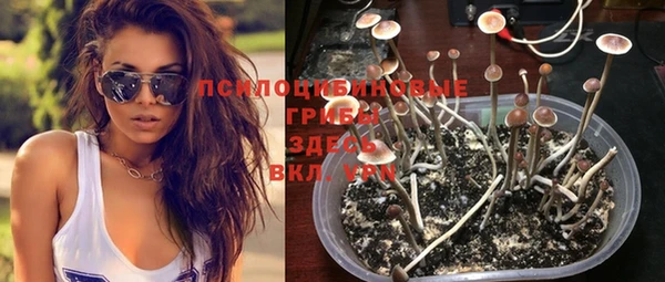 таблы Абинск