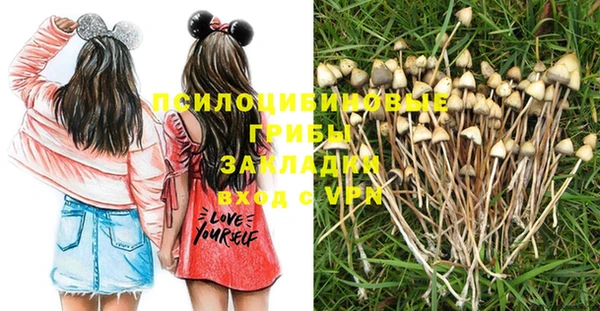 прущие грибы Абдулино