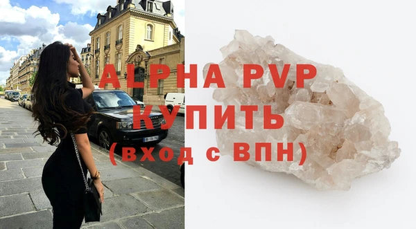 прущие грибы Абдулино